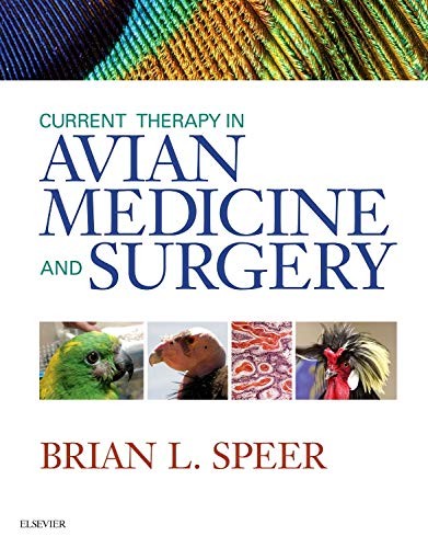 Current Therapy in Avian Medicine and Surgery — Brian Speer (2015)