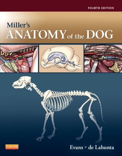 Miller's Anatomy of the Dog — Howard Edward Evans et al. (2013)
