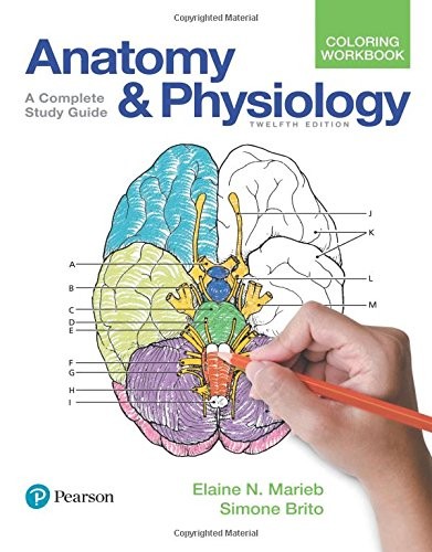 Anatomy and Physiology Coloring Workbook: A Complete Study Guide — Elaine Nicpon Marieb et al. (2017)