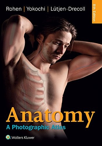Anatomy — Johannes Wilhelm Rohen et al. (2015)