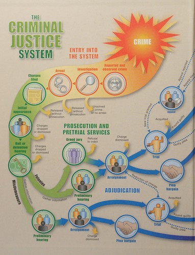 Criminal Procedure: Law and Practice — Rolando V. del Carmen (2013)