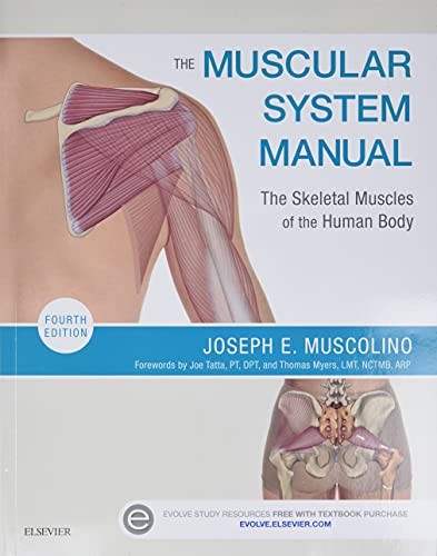 The Muscular System Manual: The Skeletal Muscles of the Human Body — Joseph E. Muscolino (2016)