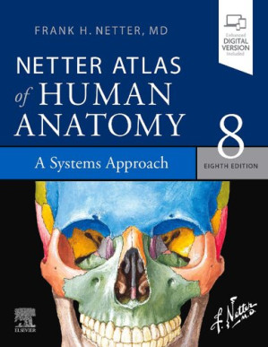 Netter Atlas of Human Anatomy: 8th edition A Systems Approach: paperback + Frank H. Netter MD