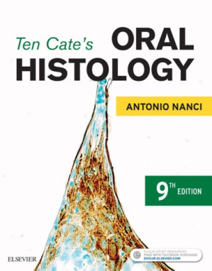 Ten Cateï¿½ï¿½ï¿½ï¿½ï¿½ï¿½ï¿½ï¿½ï¿½s Oral Histology: Development,