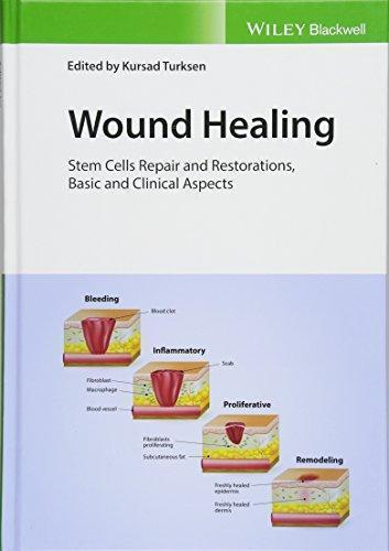 Wound Healing: Stem Cells Repair and Restorations, Basic and Clinical Aspects — Kursad Turksen (2018)
